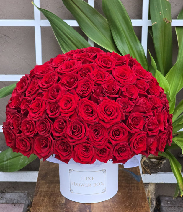 Elegant roses arranged in a luxurious box, beautifully presented for a timeless gift.