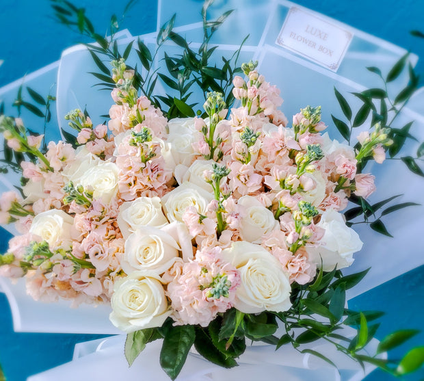 Elegant arrangement of White Playa Blanca Roses complemented by soft, fragrant stock flowers, exuding timeless beauty and charm.
