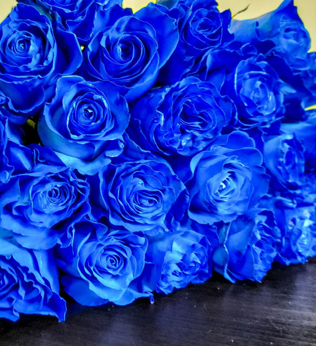 Blue Roses