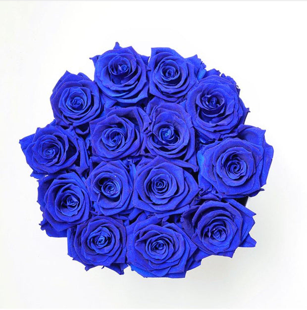 <transcy>Rosas medianas "Zafiro" de larga duración</transcy>