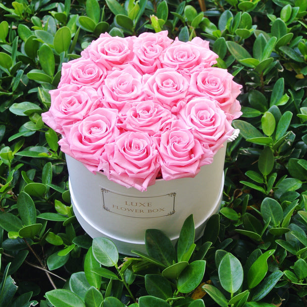 “Sweet Love”- Pink Preserved Roses