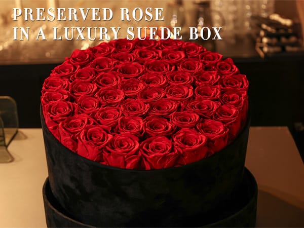 Choosing the Perfect Color: The Hidden Meanings Behind Our Red, Royal Blue, Pink, and Hot Pink Preserved Roses