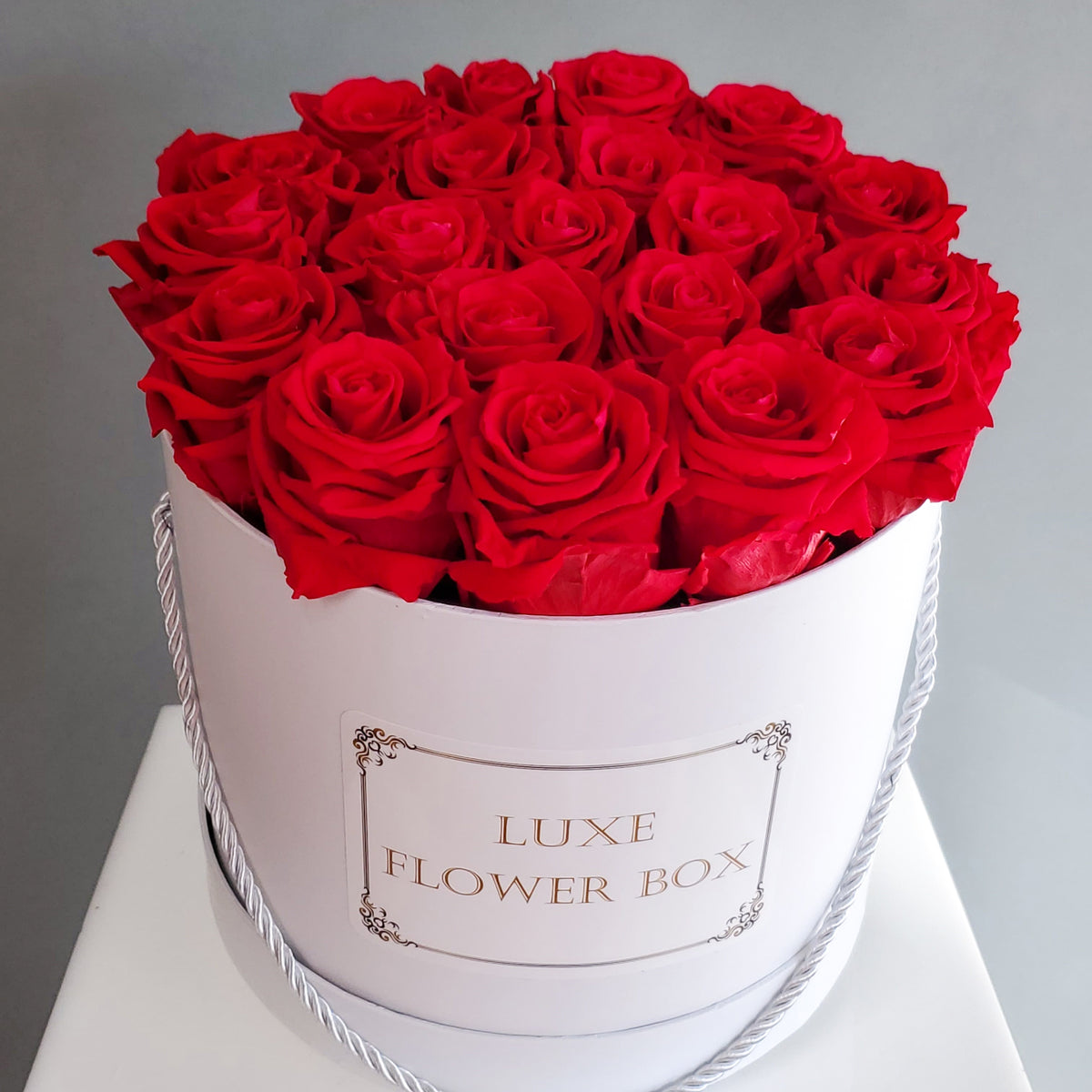 preserved rosed in round box