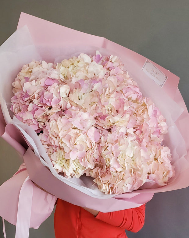 A bouquet of white and pink hydrangea flowers wrapped in pink paper with a ribbon.