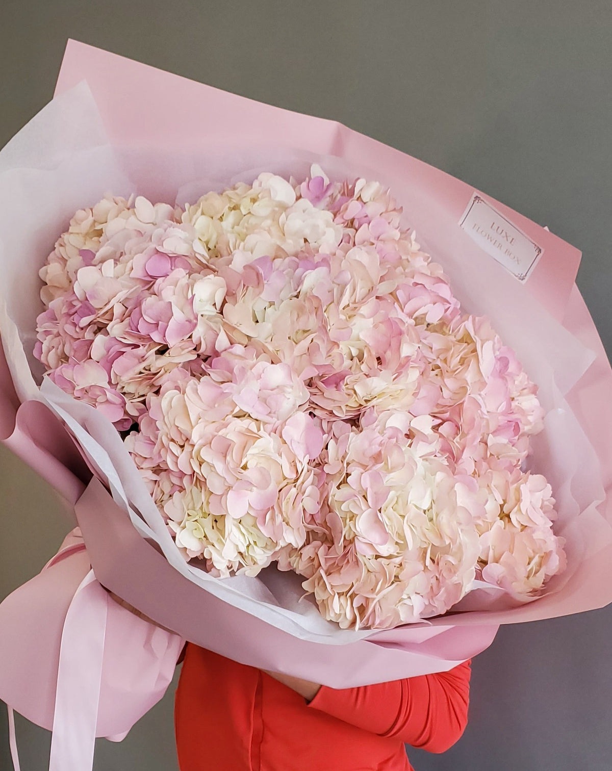 A bouquet of white and pink hydrangea flowers wrapped in pink paper with a ribbon.