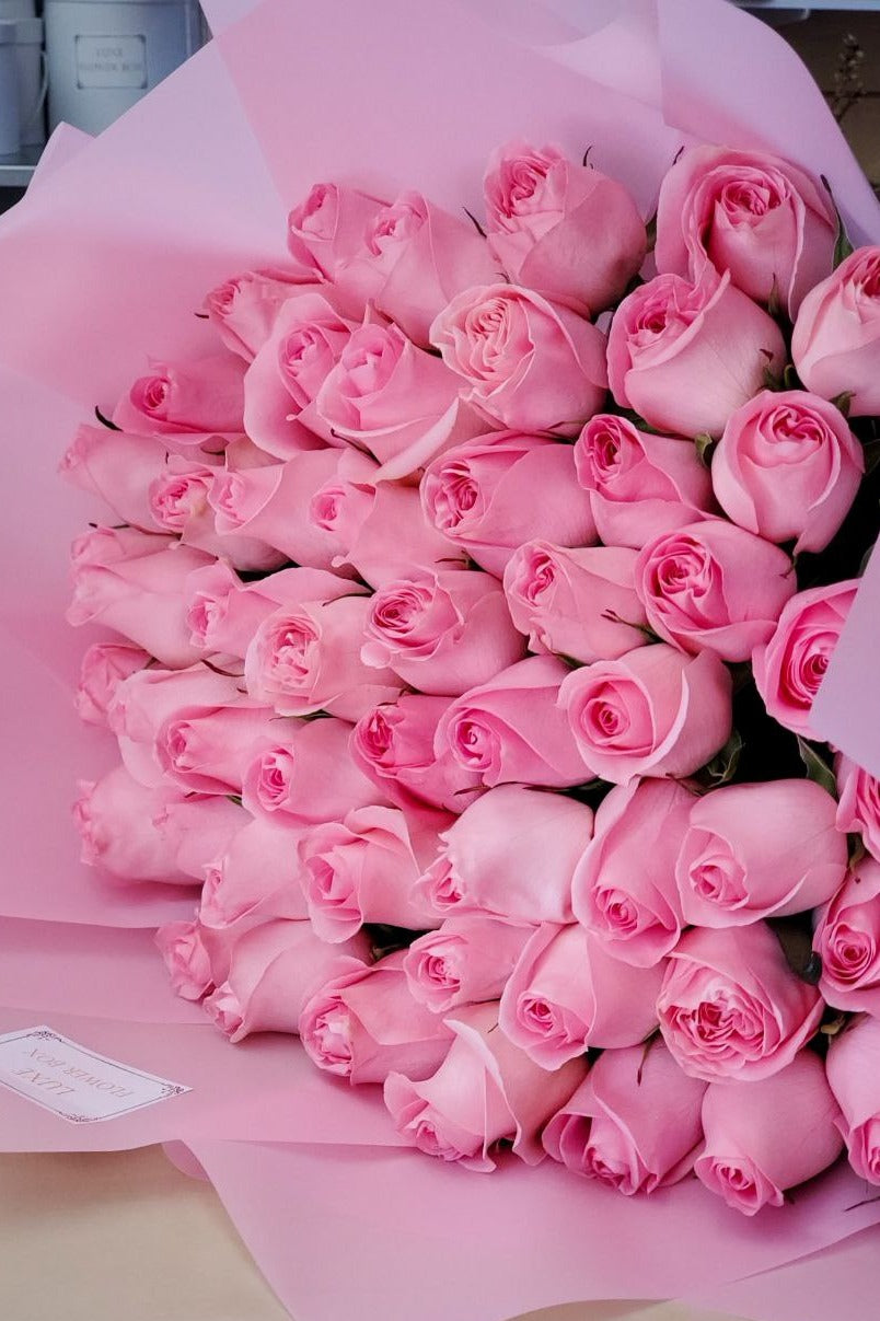 Soft pink roses in full bloom with delicate petals and lush green leaves.