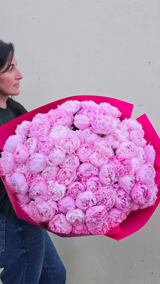 Pink peony 