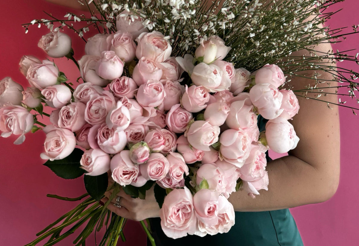spray roses vs garden roses Princess Fairy Kiss Garden Spray Roses – Luxe Flower Box