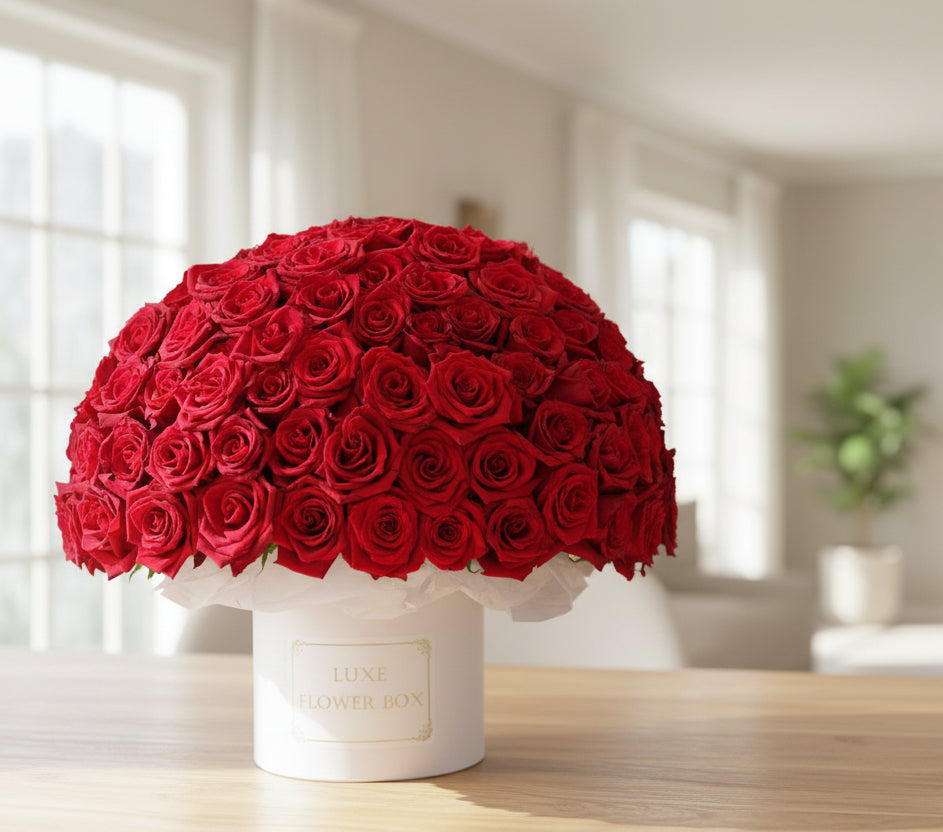 Roses in a Box display with vibrant red roses arranged in a luxurious flower box, ideal for gifts and celebrations.