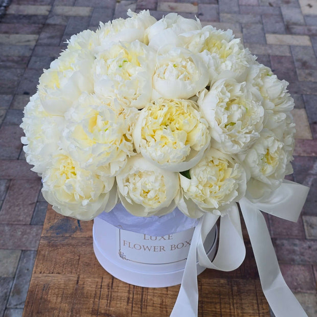 White Peonies Flower Box Arrangement