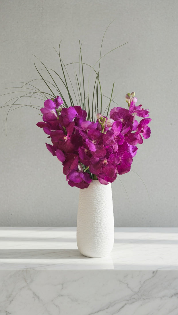 Majestic vanda