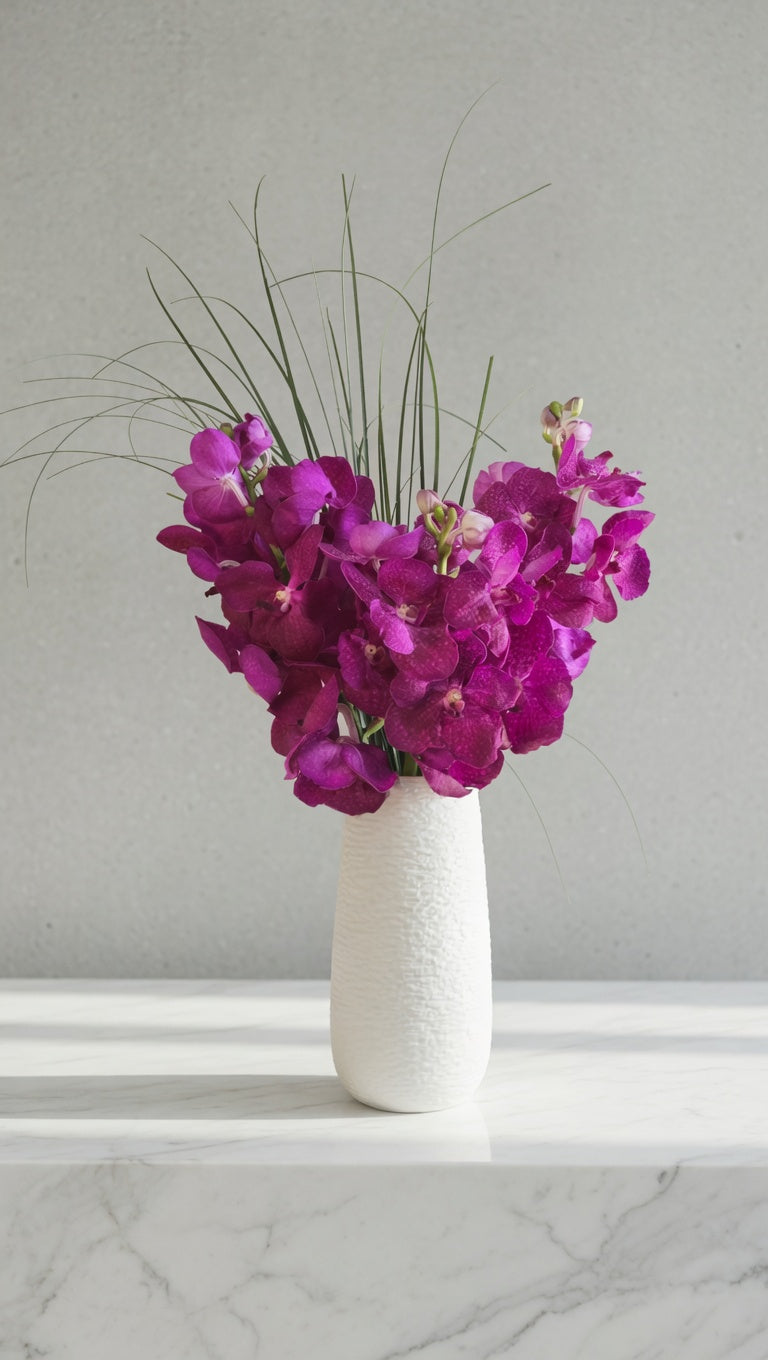 Majestic vanda