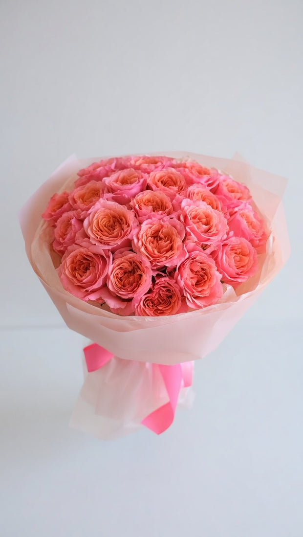 Pink expression roses