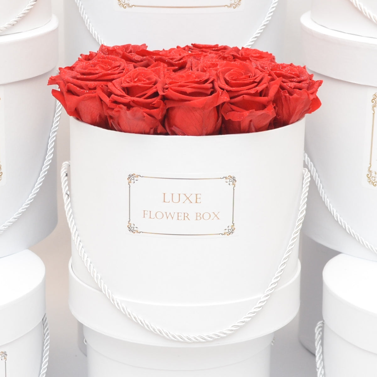 red roses