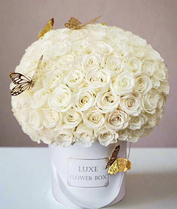 White roses 